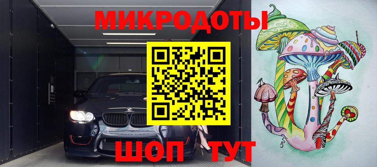 Галлюциногенные грибы Psilocybe Красногорск