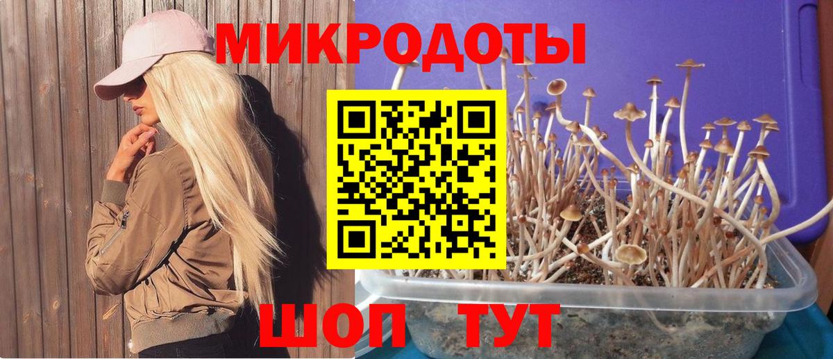 Красногорск  Псилоцибиновые грибы Magic Shrooms  Вход с VPN 